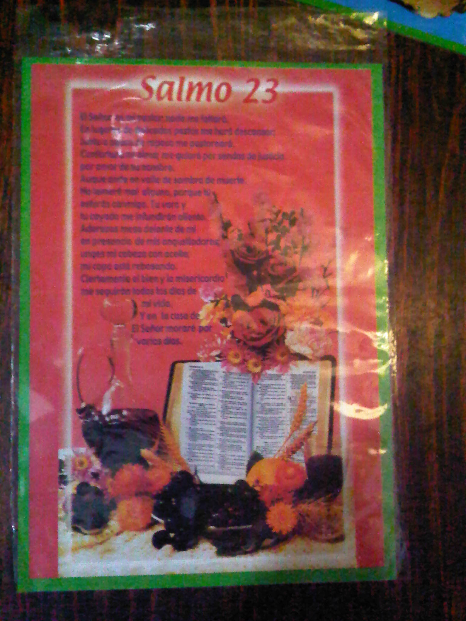 Salmo 23 (Aparti 6)