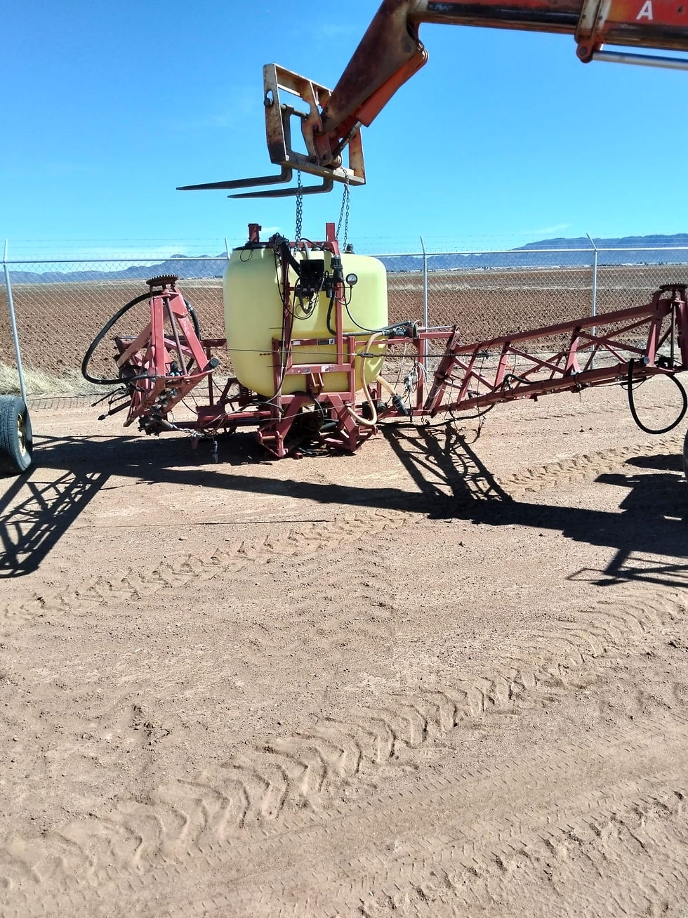 c0c4e7ca-dfe6-45e9-8a31-ee0df366e6ec.jpg