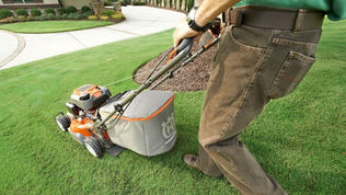 Fuel Your Garden Dreams: A Beginner's Guide to Petrol Lawnmowers