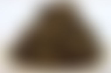 2018 ダージリン セカンドフラッシュ ジュンパナ茶園 入荷しました!