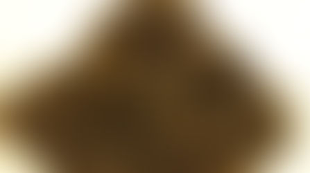 ダージリンセカンドフラッシュ グームティー茶園