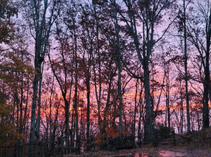 Is WISDOM Useful in Our Everyday Lives?