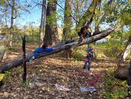 Two children climb a tree while one plays on a rope swing 