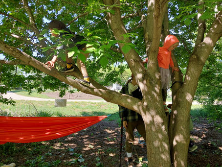 Two children climb the tree on a sunny summer day, with a bright orange hammock swinging below