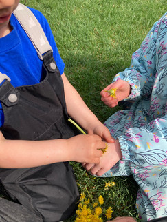 A photo of two children, one is pretending to draw on the others hand with a dandelion