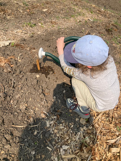 A photo of a child watering a garden