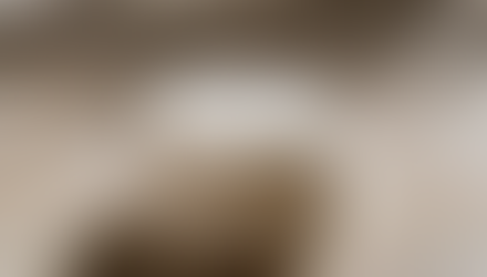 Body Butter Diaries: Testing My New Hydrating Formula