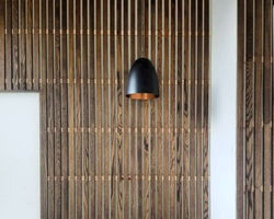 USA Olympic Basketball