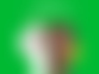 LINE公式アカウント開設♪