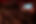 DSC00113.jpg