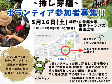 衣笠キャンパスでフジバカマの挿し芽をしよう！