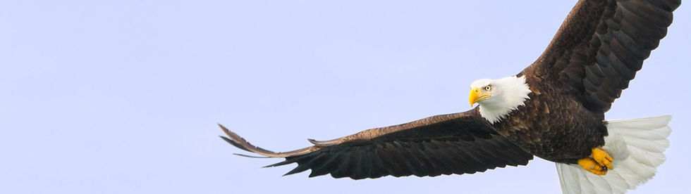 January 29th, 2007 - Isaiah 54:17