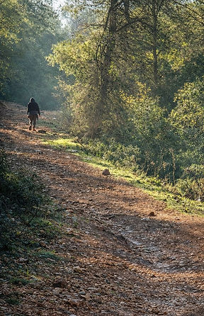הליכה בטבע אישה במעלה השביל.jpg