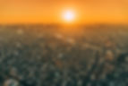 201205351_10225484238963052_5588677517244874688_n.jpg