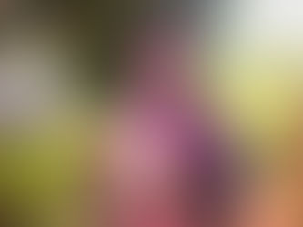 From Farm to Freshness: The Maripat Food Solutions Journey