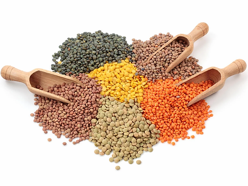 LENTILS.webp