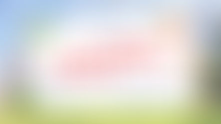 子ども家庭庁の里親HPに紹介していだきました