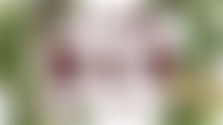 ともさと通信第４号が完成しました