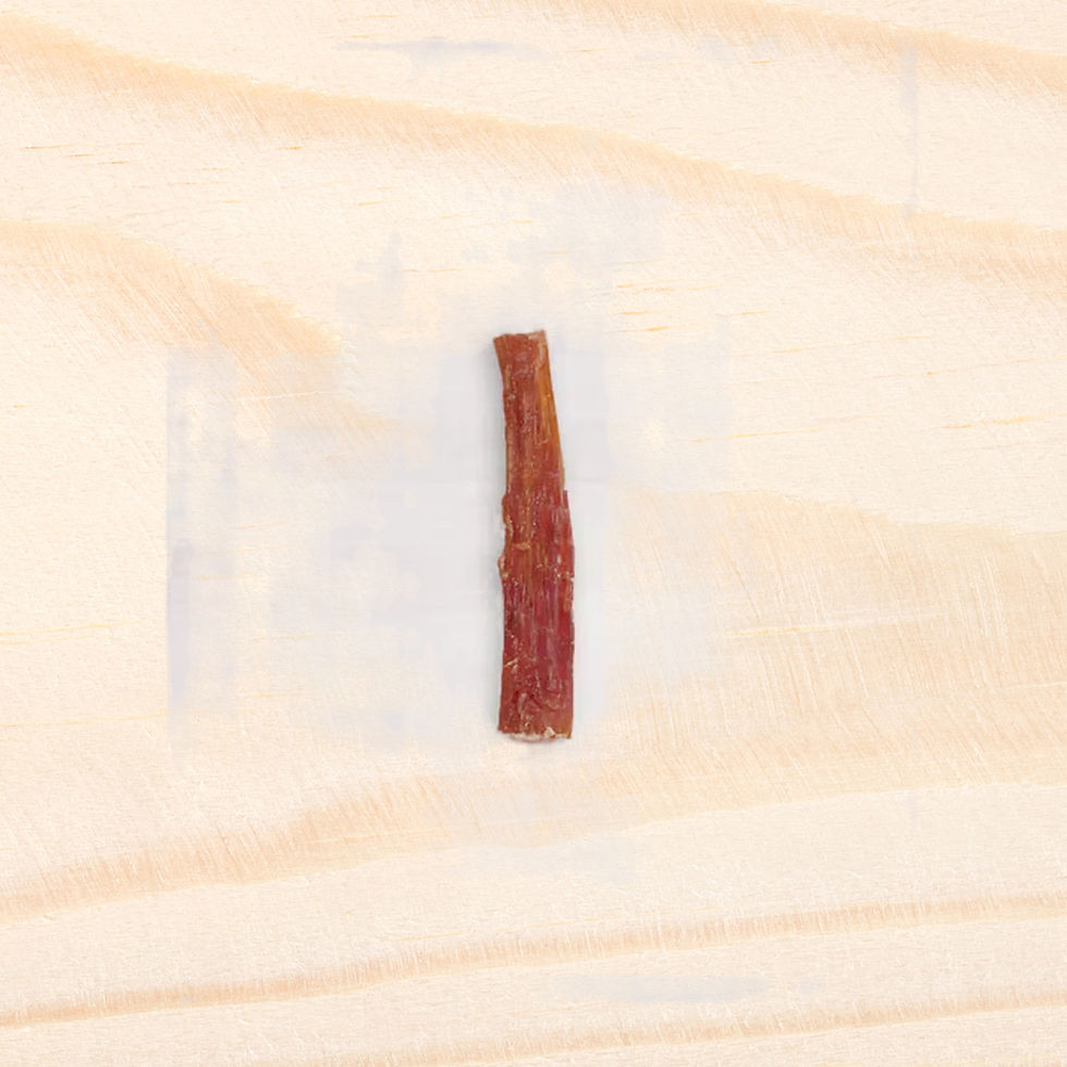 Thumbnail: Beef Backstrap Tendon Chew | 6-8"