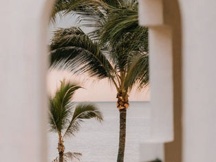 Design Trends in 2024 That Are Wellness-Focused