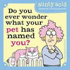 What would your pet call you