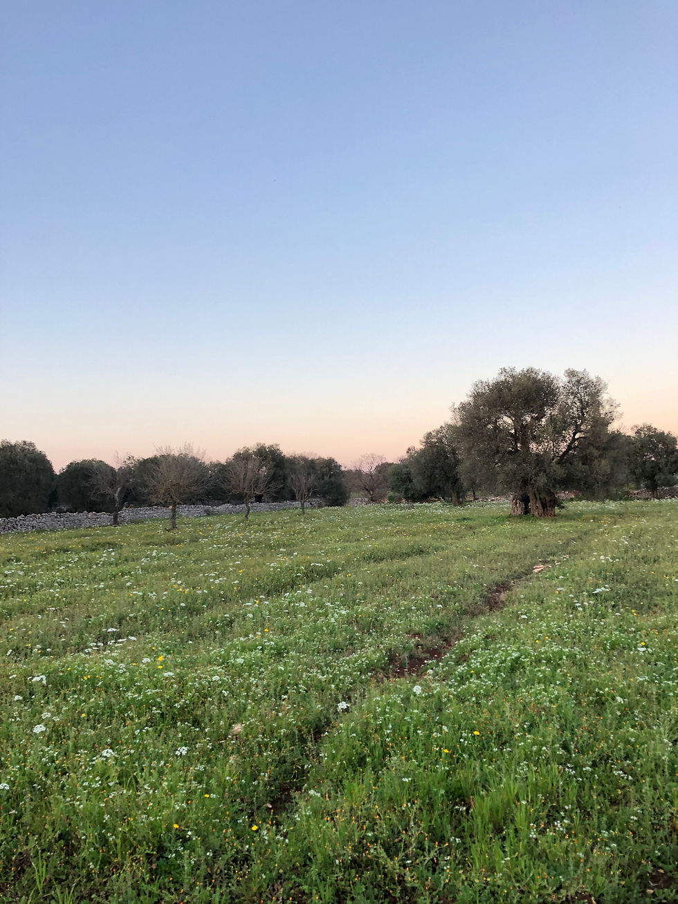 what's the best time of year to visit Puglia, Italy? A personal guide to each month in Puglia so you can decide when is the best month for a Puglia holiday