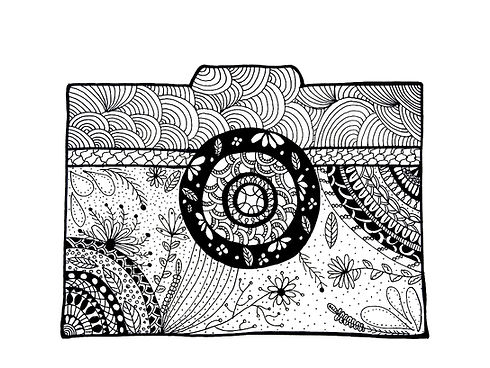 דודל מצלמה.jpg