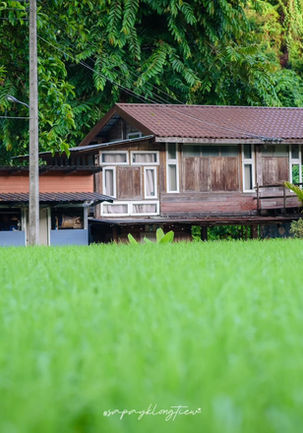 LINE_ALBUM_Review of the camera travel page_230809_39.jpg