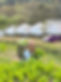 322733030_1280512942513668_9120555462037940581_n.jpg