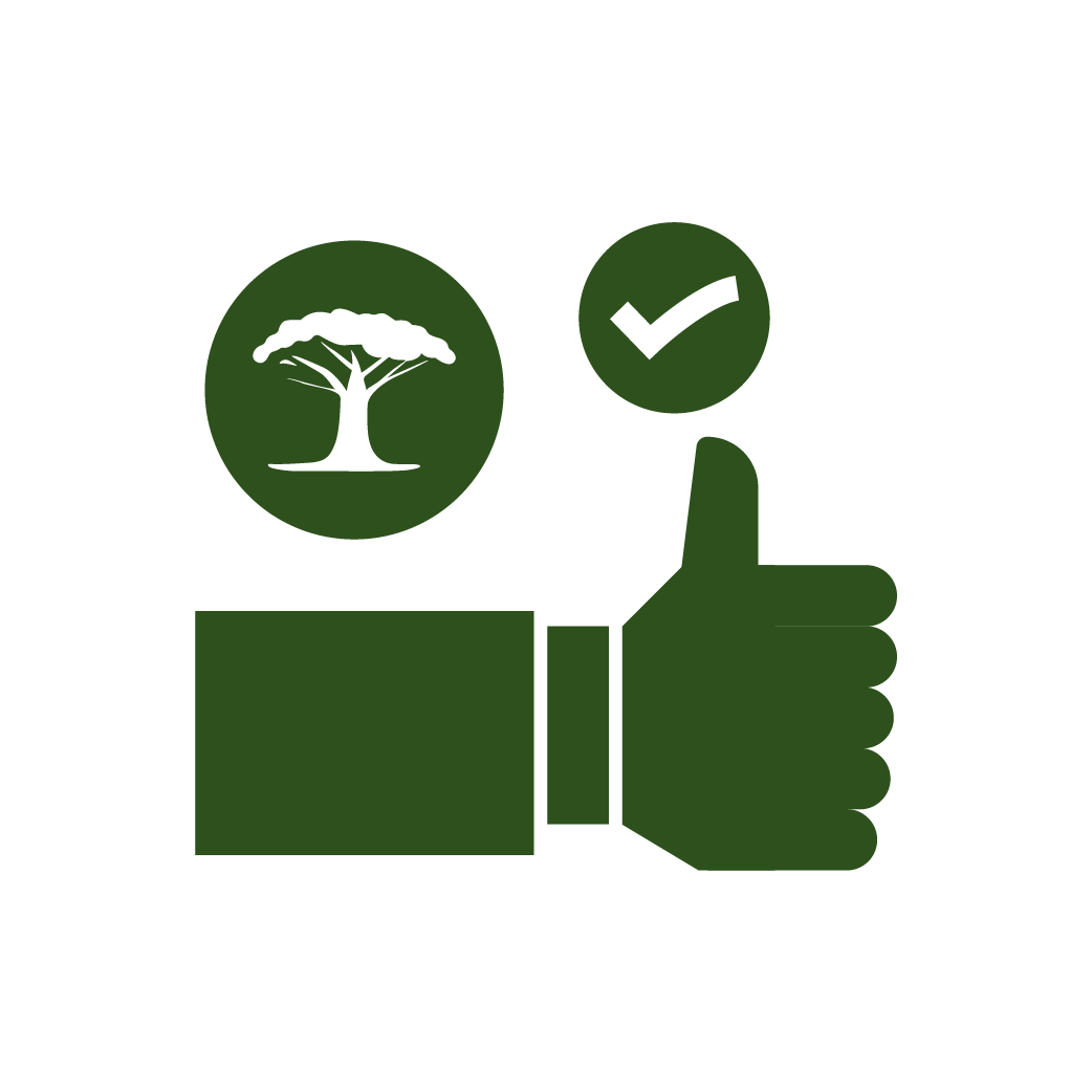 Accountability Icon with Thumbs up and Tree and True mark