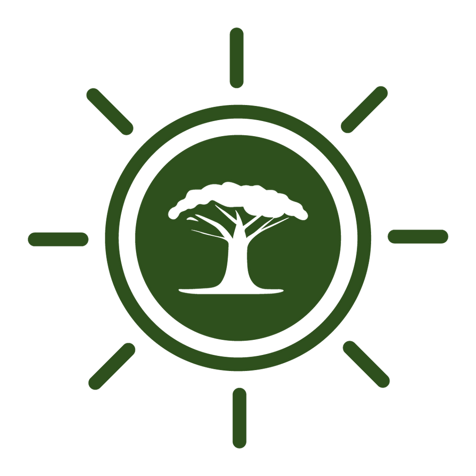 Our Values icon showing Tree and sun lights