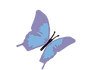 HipSaver butterfly logo
