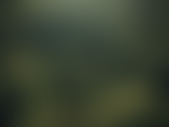 Get Lost in ENLIGHTEN: The New Novel by Teodorie Ravara