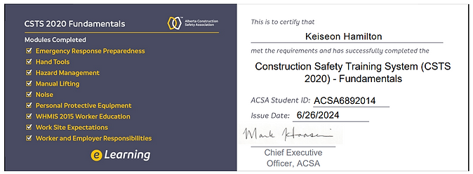 CSTS (2020)-- Cut Out.png