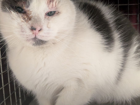 Why "Do It for You" Doesn't Work