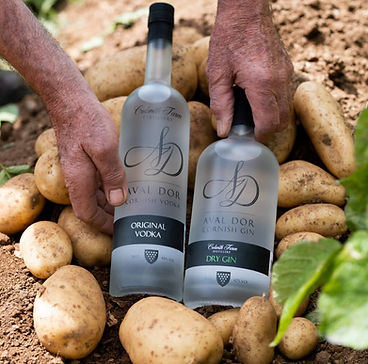 Spirits from Colwith Farm Distillery