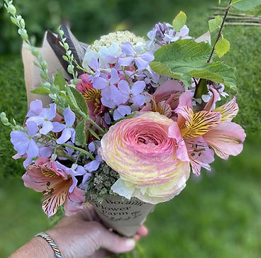 Flowers and Plants form Wild Botanic Flower Farm.