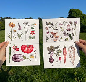 Emanuelle Paulson Art