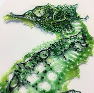 Glass Art & Gifts by Dreya.