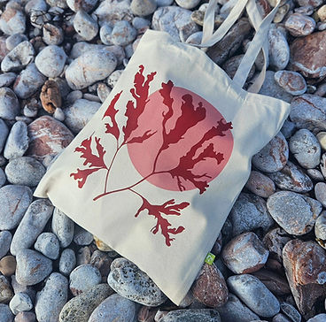 Linocut prints, greetings cards and totes by Flotsam Prints.