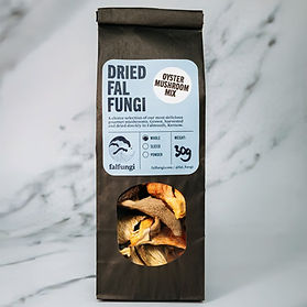 Falfungi