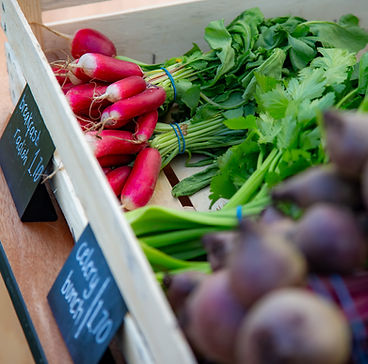 Fresh Produce from Aral Farm.