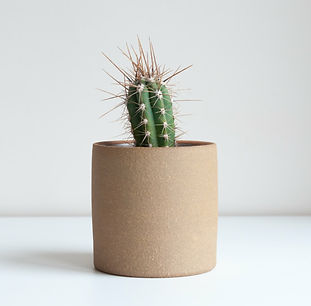 Hortus & Home
