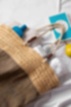 travel essentials north caorlina