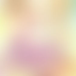 くもりのそら の更新について くもりのそら の更新について