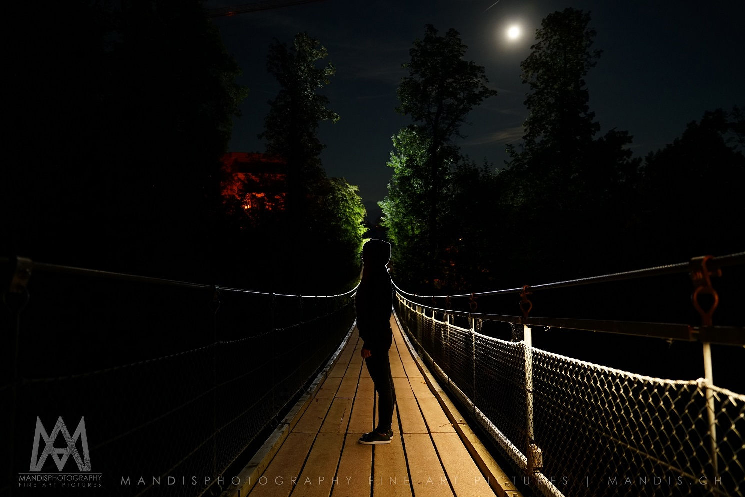 7 | Plank Bridge | Miles ZH