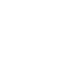 snowflake_edited.png