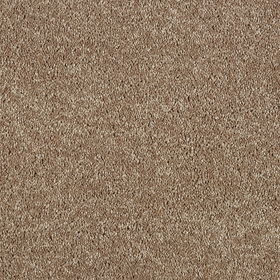 Velvet Taupe