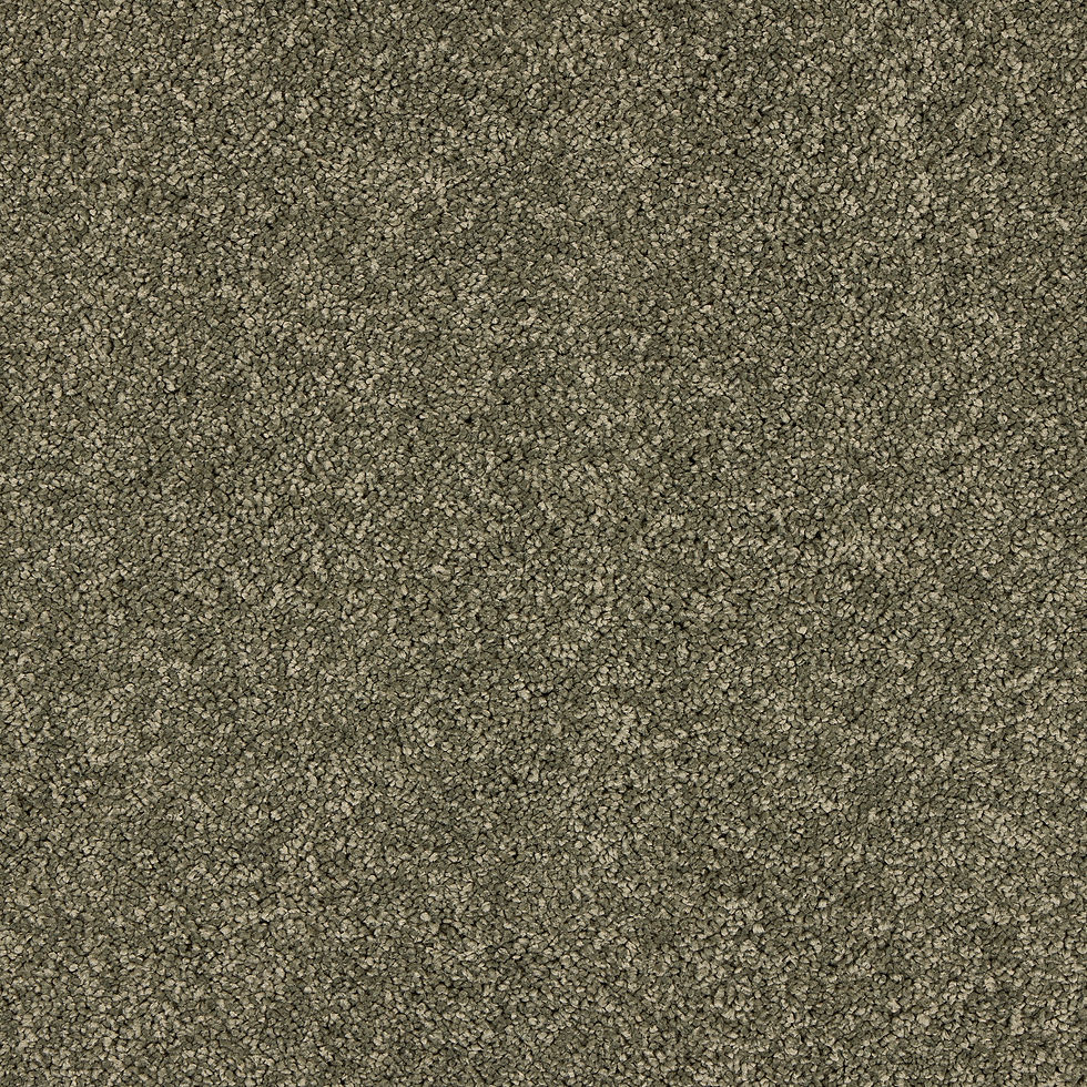 Dusty Fern