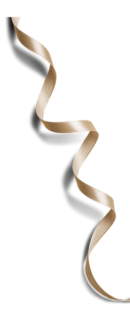 Snow_TheSwan (3).png